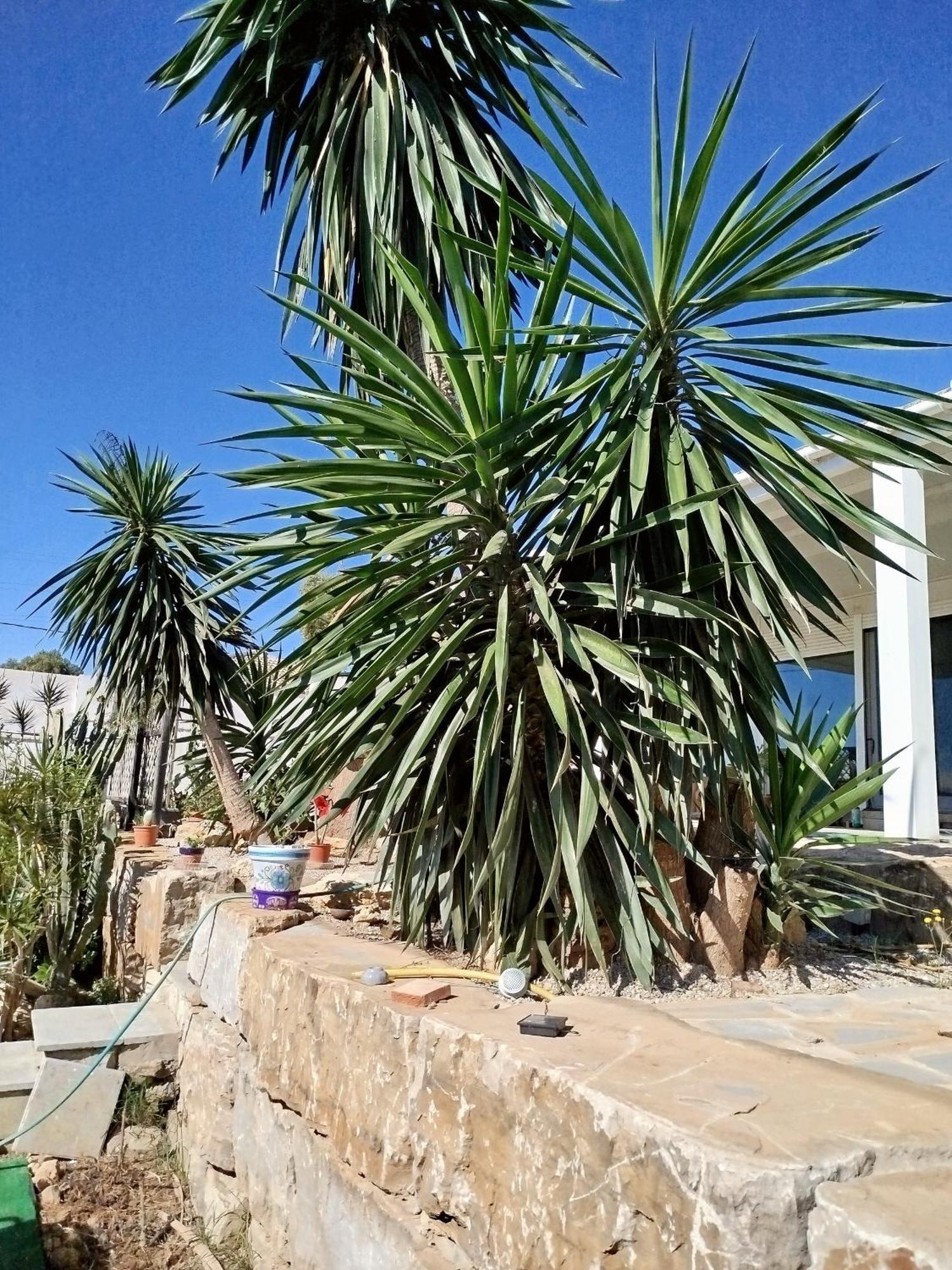 Apartamento San Roque Countryside Annex Exterior foto